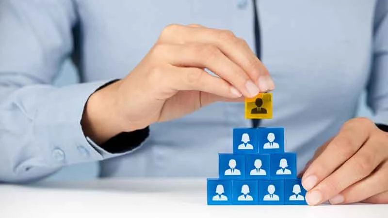 supplier mlm