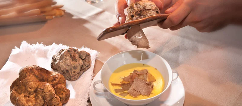 White Truffle dalam Produk Skincare