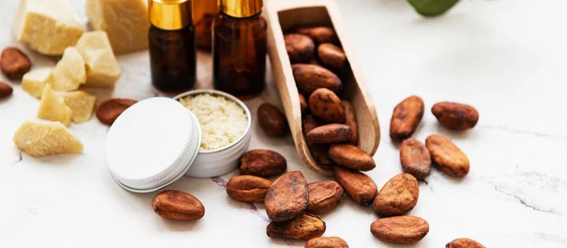 Manfaat Cocoa Butter untuk Kesehatan Kulit