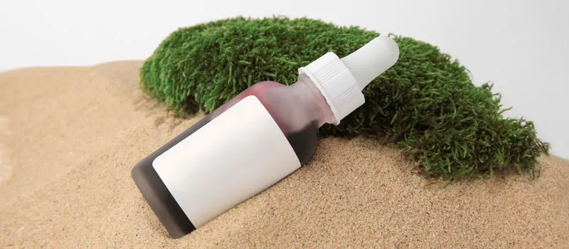 Profitabilitas Sea Moss di Indonesia