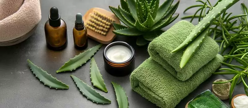 Tren Penggunaan Ekstrak Herba untuk Kecantikan