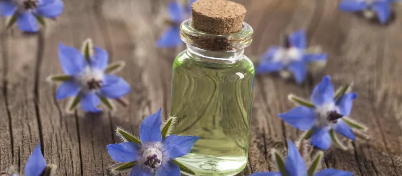 Manfaat Borage Oil untuk Kecantikan Wajah