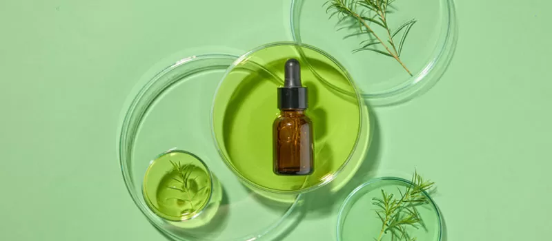 Bahan Skincare Tea Tree Oil Adalah