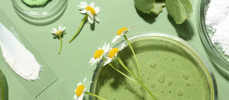 Manfaat Chamomile untuk Wajah