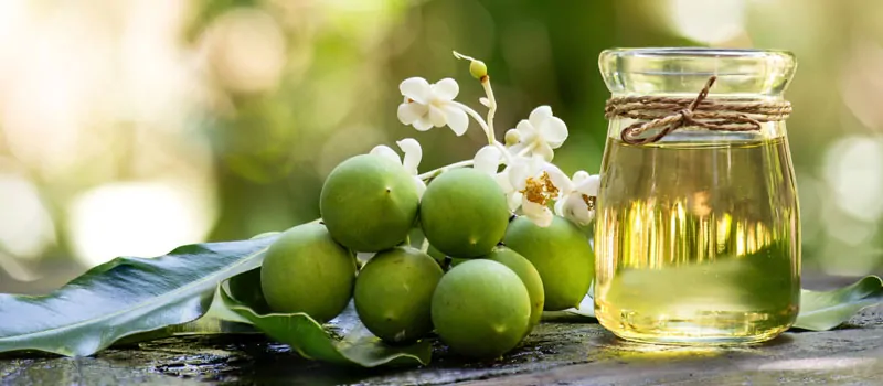 Manfaat Tamanu Oil untuk Kesehatan Kulit